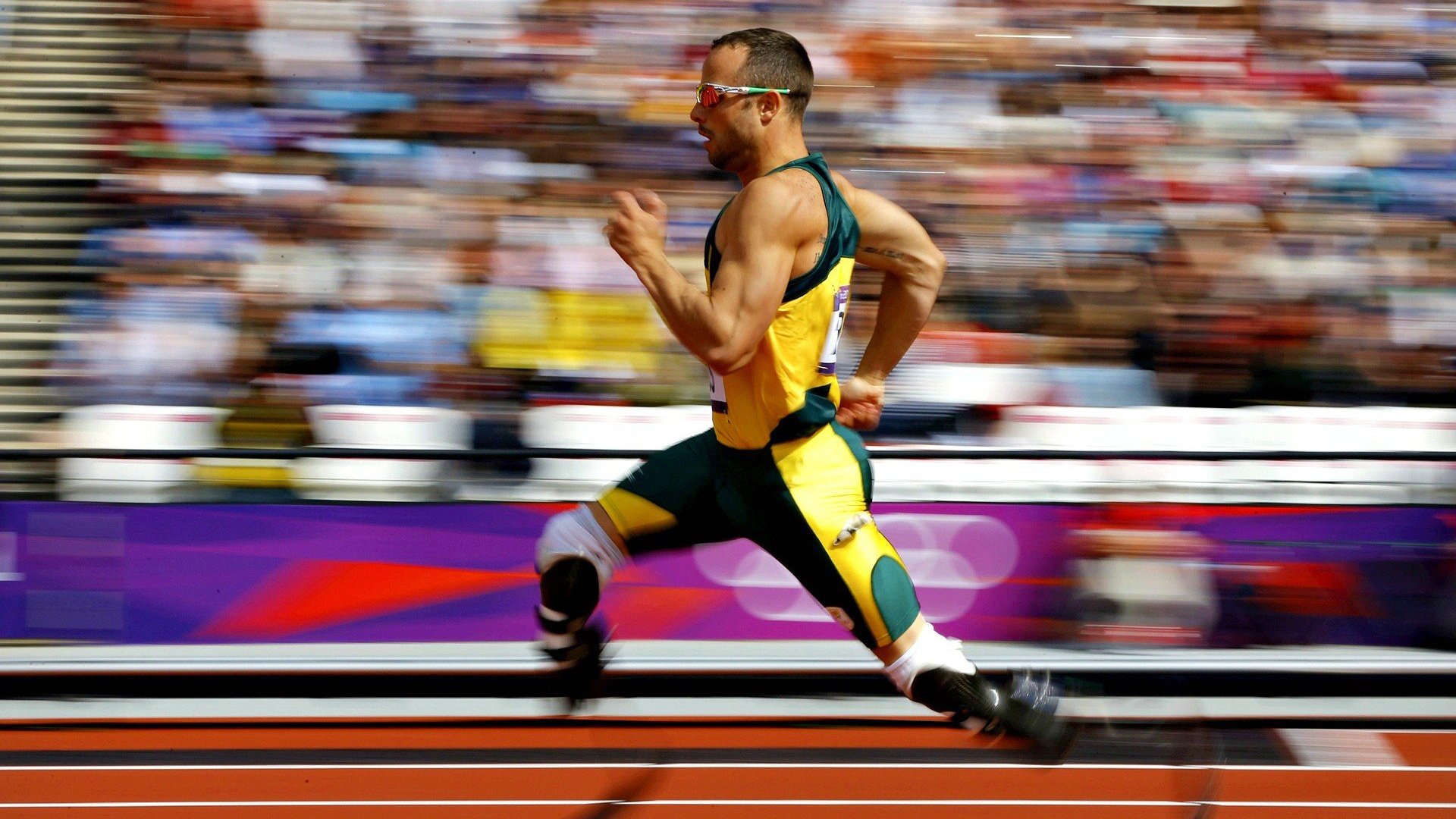 校园体育设施智能监测系统研究,学校体育设施管理制度