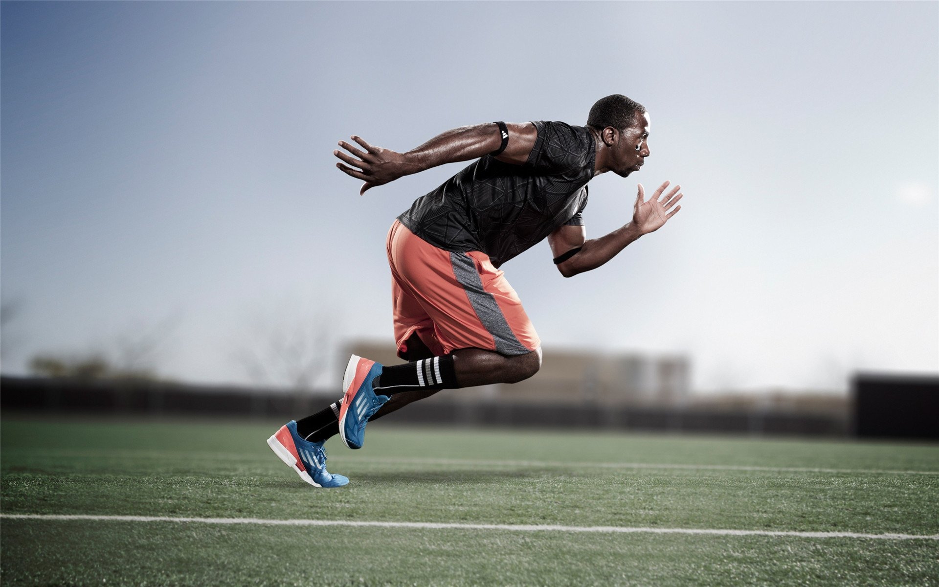 校园体育设施智能化管理体系设计，体育智能化系统